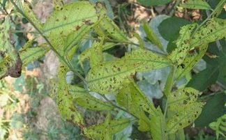 注意事项：小心驶得万年船