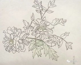 观察比制作梗重要