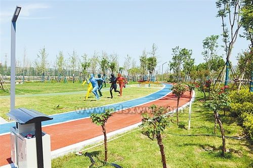 奥林匹克公园：轴线上的艺术