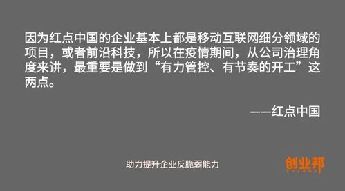 独苗兰花腐苗如何挽救？是放弃还是寻找生机