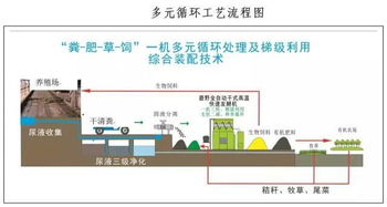 如何利用生物饲料转化农业废弃物，实现无抗养殖的可持续解决方案？