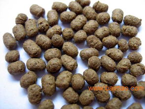 鳗鱼饲料专用淀粉生产与应用研究，探讨新型饲料淀粉制备及功效