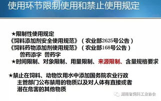 泰国饲料添加剂展新手如何用10万预算撬动百万订单？