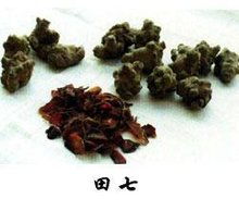 田七，多年生草本植物