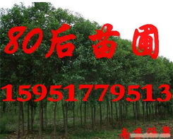 购买建议，要擦亮眼睛