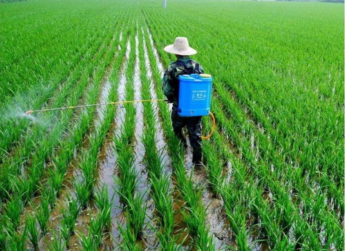 主营产品大盘点