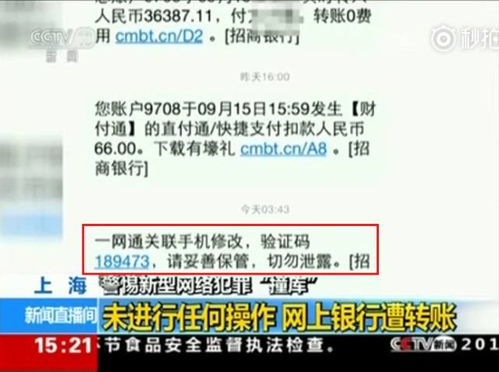 品种选择是关键