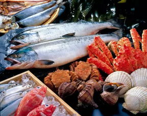 石斑鱼偏食海鲜，如小鱼、虾、蟹等