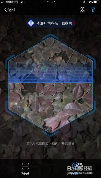 植物识别软件：自然教育的推动者