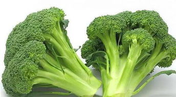 西兰花， 不打农药的传说