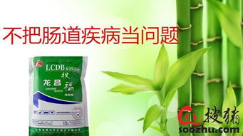 我国前十大猪饲料品牌中，哪个品牌采用了最先进的养殖饲料技术？