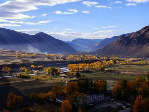 漫步石板小路， 赏花心情复杂