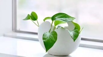 用过期啤酒养护工具， 防锈效果惊人