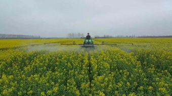 肥料和农药，能一起喷吗？揭秘真相！