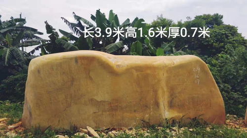 多样的植物， 多样的风景