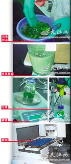 洗洁精稀释法：全面清洗