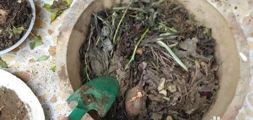 自制花肥，简单又实用