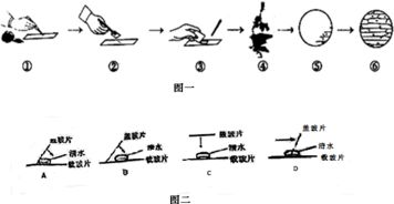 氟环唑平安间隔期揭秘， 三大法则守护丰收季