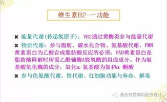 猪养殖必备维生素：A、D、E、K、B族