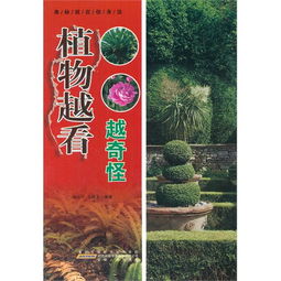 红豆杉长什么样？这里有你想要的红豆杉图片
