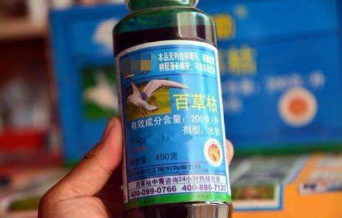 百草枯：清醒中的死亡之旅