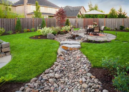 漂浮小精灵——浮萍