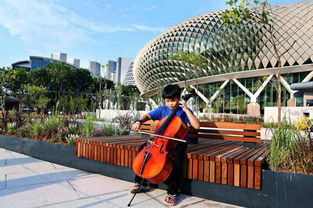 话说园林局官网，那可是个宝地啊！