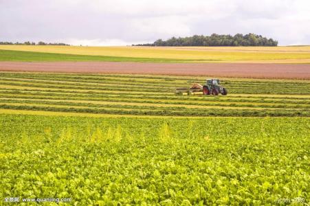 有机肥与土壤有机质