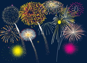 烟花种植大揭秘