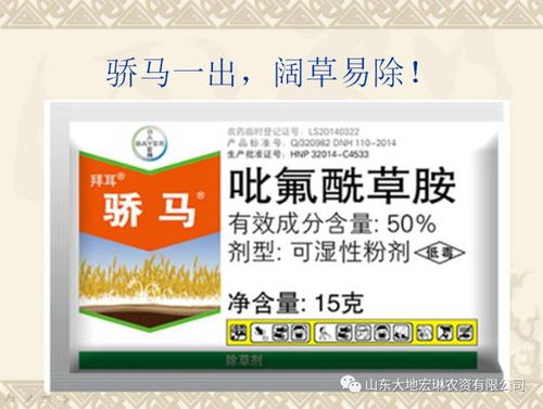 好事多除草剂在小麦田打药后为何会出现药害现象？