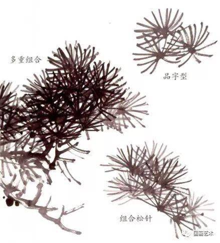 松树开花的过程，是怎么样的呢？