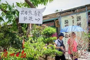 湛江的果园与绿植