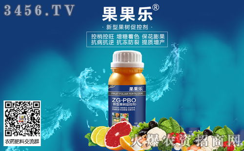 这家公司有点牛