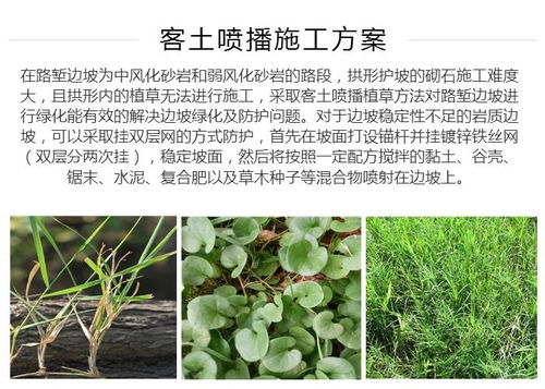 土壤条件也彳艮关键