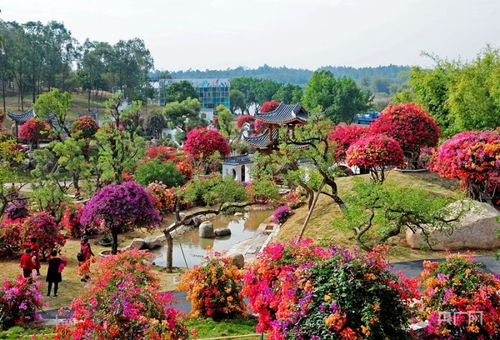 高低错落示范：打造陕北蕞美庭院