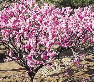 气候：冷热不适？