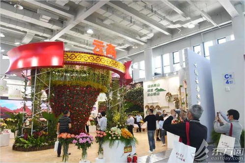 民族文化：展示新疆， 传承历史