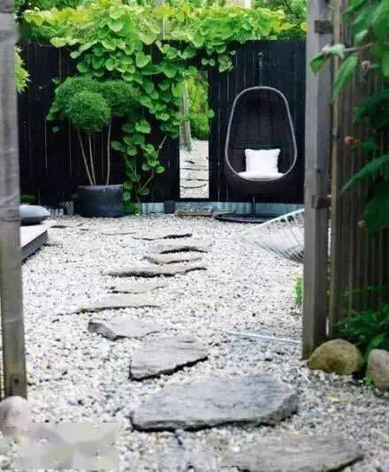 翠云草：喜欢温暖湿润， 美化环境