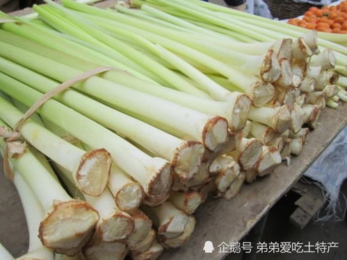 蒲菜：淮安特产，市场抢手