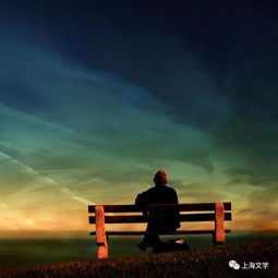 绝望之花：孤独的倾诉与绽放