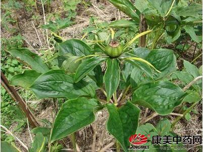 第四步：秋冬保暖大作战