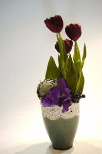 为什么这五种花草不Neng放在一起？有没有什么讲究？