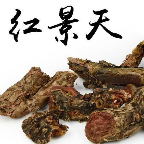 破获非法收购红景天案，揭秘珍贵药材非法交易链
