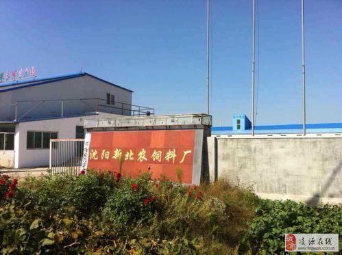 饲料厂招聘业务员，饲料业务员招聘信息中，有哪些具体要求或福利待遇？