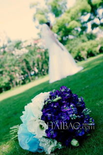 金秋花园，花团锦簇的魔法之旅