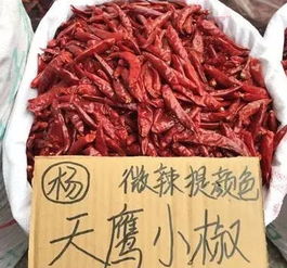 辣椒种植的最佳时间是什么时候？不同品种的辣椒种植时间有差异吗