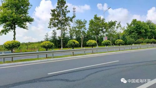 如何运用色彩搭配技巧提升景观效果