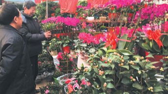 花如其名， 形态独特