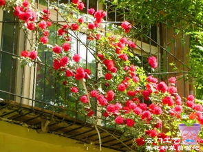 2、阳台的承重问题