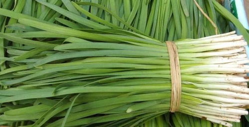 原因二：农药市场监管不严